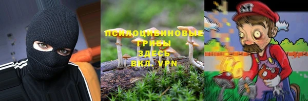 прущая мука Козловка