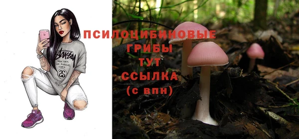 mdpv Кодинск