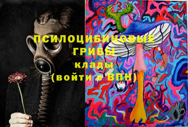 mdpv Кодинск