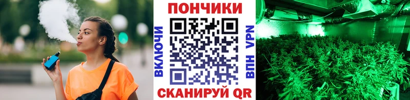 Купить  Ртищево  Конопля конопля 